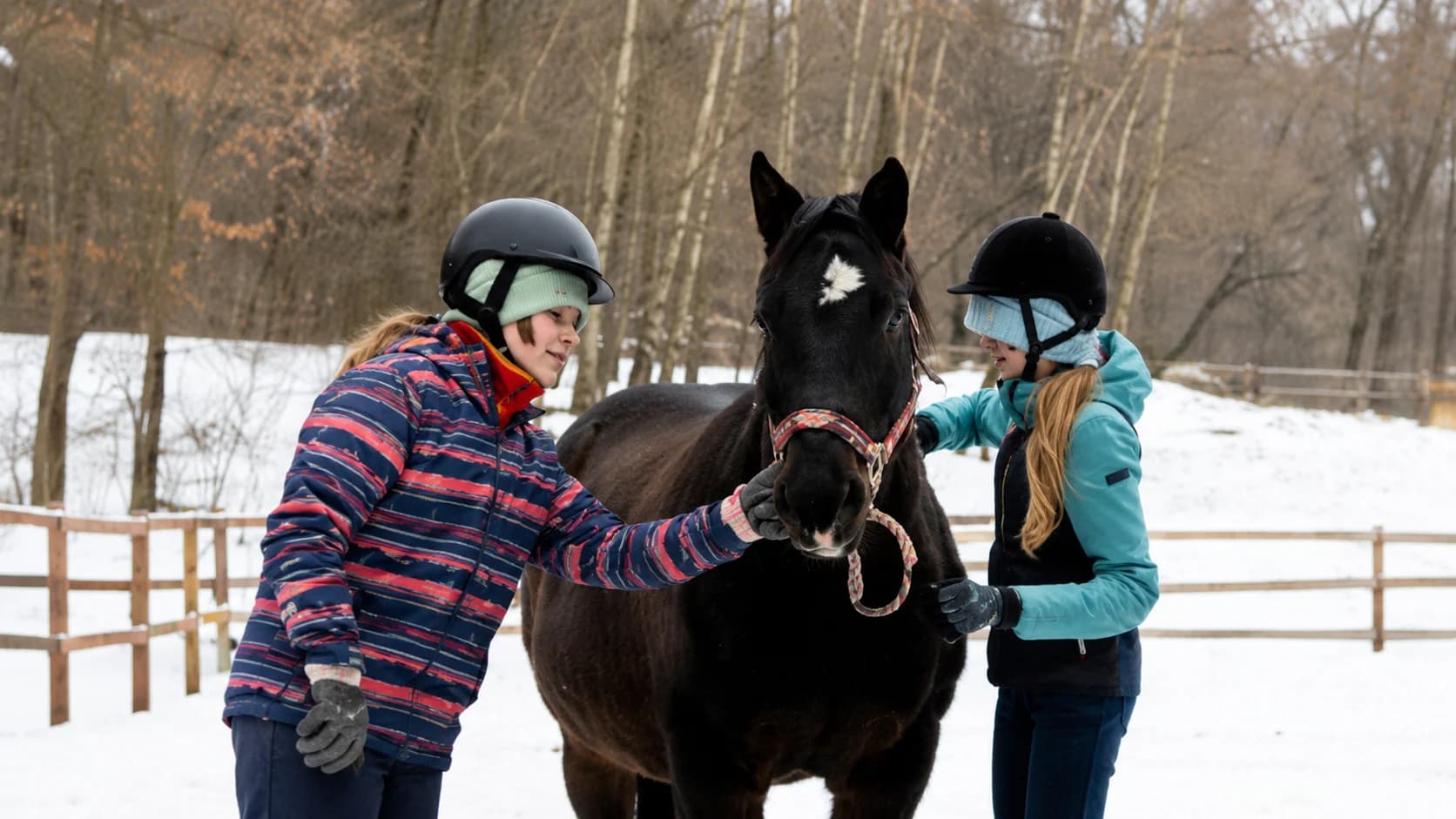 Dos niñas acariciando un caballo durante una actividad de invierno